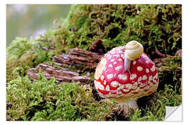 Sticker mural Snail on a lucky mushroom