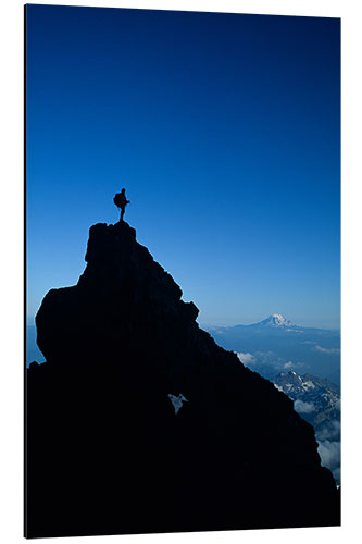 Aluminium print Climber on Top of a Rock Pinnacle in Mount Rainer National Park