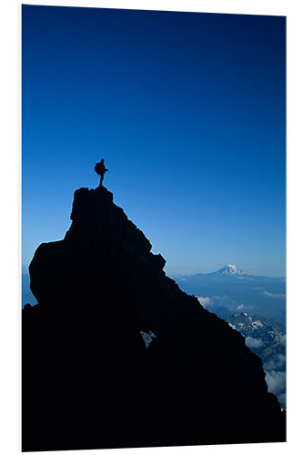 Print på skumplade Climber on Top of a Rock Pinnacle in Mount Rainer National Park