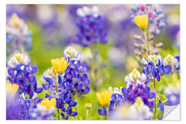 Vinilo para la pared Wildflowers in the Texas Hill Country