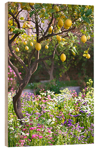 Hout print Lemon Tree in Sicily