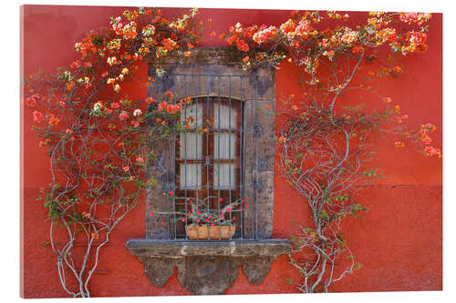 Acrylglasbild Rotes Haus mit Blumen, San Miguel De Allende, Mexiko