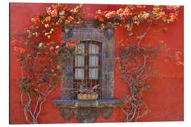 Aluminium print Red House With Flowers, San Miguel De Allende, Mexico
