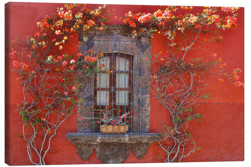 Canvas print Red House With Flowers, San Miguel De Allende, Mexico