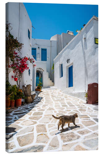 Canvas-taulu Cat in a greek village, Paros