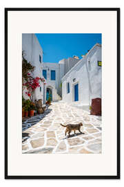 Gerahmter Kunstdruck Katze in einem griechischen Dorf, Paros