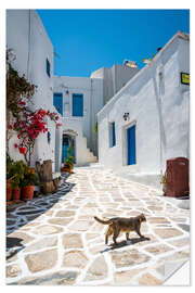 Selvklebende plakat Cat in a greek village, Paros