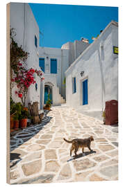 Tableau en bois Cat in a greek village, Paros