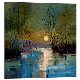 Tableau en plexi-alu Riverscape in the Moonlight