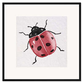 Gerahmter Kunstdruck Roter Marienkäfer mit schwarzen Punkten