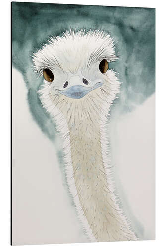 Aluminium print The cheerful ostrich from Africa