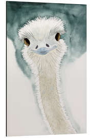 Aluminium print The cheerful ostrich from Africa