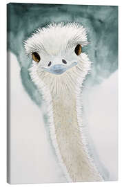 Canvas print The cheerful ostrich from Africa