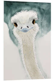 PVC-tavla The cheerful ostrich from Africa