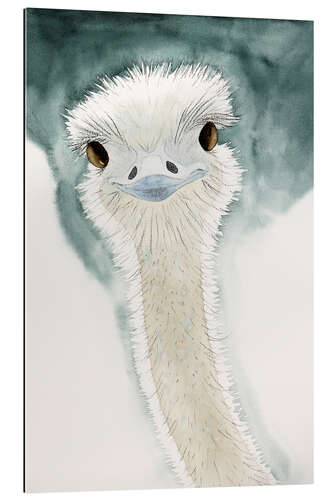 Gallery print The cheerful ostrich from Africa