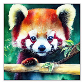 Póster  Curious Red Panda - Dolphins DreamDesign