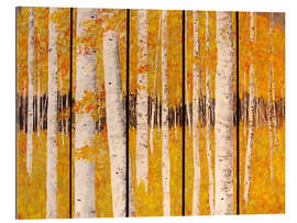 Tableau en plexi-alu Autumn Walk in the Birchwood