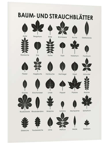 Foam board print Leaves of Trees and Shrubs (German)