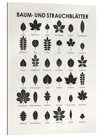 Gallery print Leaves of Trees and Shrubs (German)