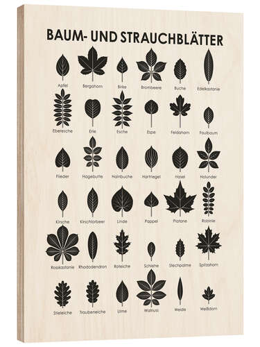 Wood print Leaves of Trees and Shrubs (German)