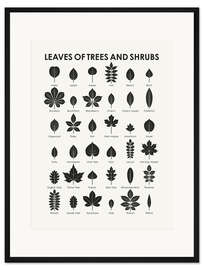 Gerahmter Kunstdruck Baum- und Strauchblätter (englisch)