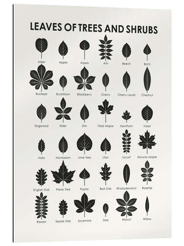 Gallery print Leaves of Trees and Shrubs