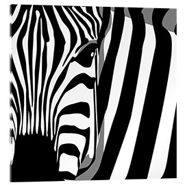 Acrylic print  Zebra - Dilek Peker