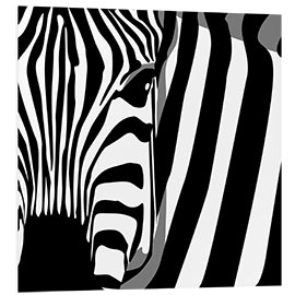 Foam board print Zebra