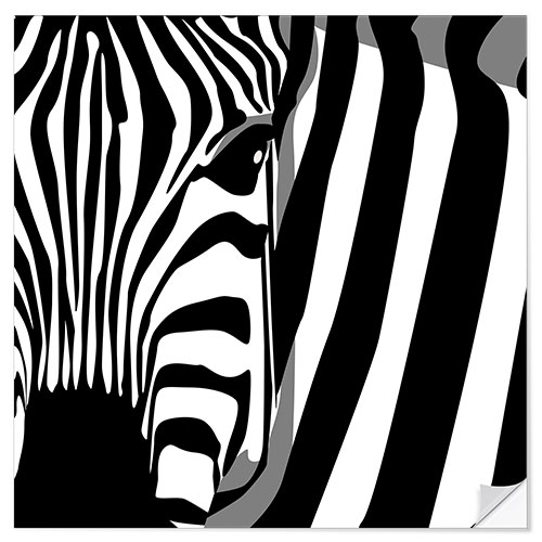 Selvklebende plakat Zebra