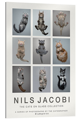 Gallery print The Cats on Glass Collection