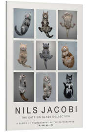 Magnettafel The Cats on Glass Collection