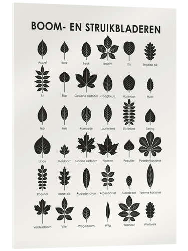 Acrylglasbild Baum- und Strauchblätter (niederländisch)