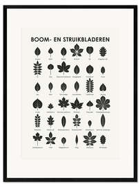 Inramat konsttryck Blad från träd och buskar (nederländska)