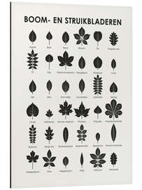 Magnettafel Baum- und Strauchblätter (niederländisch)