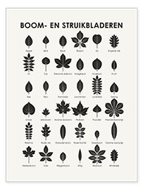 Wall print  Leaves of Trees and Shrubs (Dutch) - Iris Luckhaus
