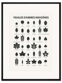 Gerahmter Kunstdruck Blätter heimischer Bäume (und Sträucher; französisch)