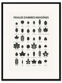 Impression artistique encadrée Feuilles d'arbres indigènes