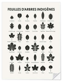 Selvklebende plakat Leaves of Native Trees (and Shrubs; French)