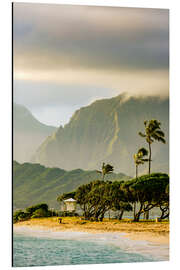 Aluminium print Beach in Hawaii