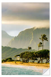 Wall sticker Beach in Hawaii