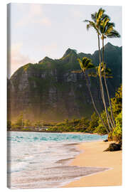 Lærredsbillede  Palm beach in Hawaii - Road To Aloha
