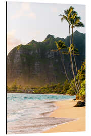 Magnettafel Strand mit Palmen auf Hawaii