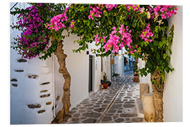 PVC print Alley on the island of Paros, Greece