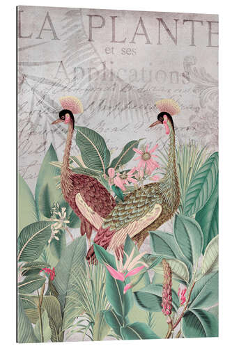 Gallery print Cranes in the tropics, pink