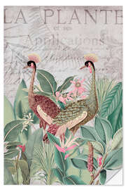 Naklejka na ścianę Cranes in the tropics, pink