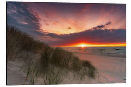 Aluminium print Baltic sea dunes in the sunset