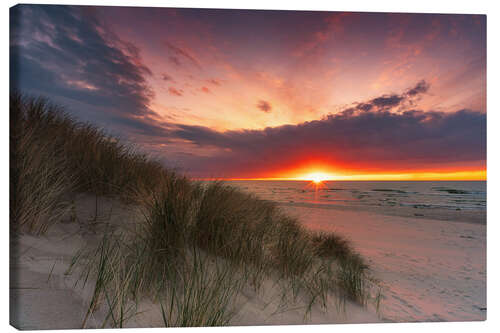 Canvas print Baltic sea dunes in the sunset