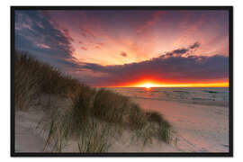 Gerahmter Kunstdruck Ostsee-Dünen im Sonnenuntergang