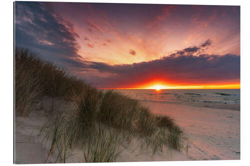 Gallery print Baltic sea dunes in the sunset