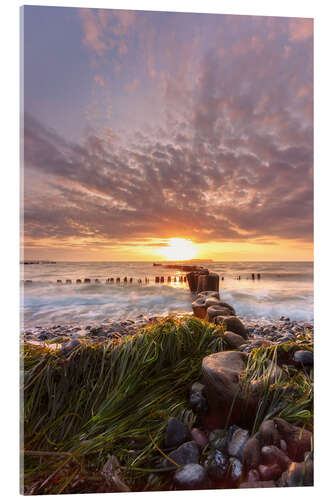 Acrylic print Sunset on the stony Baltic Sea beach